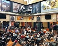 53794416_313758069340904_6447253709574373376_n-Copy